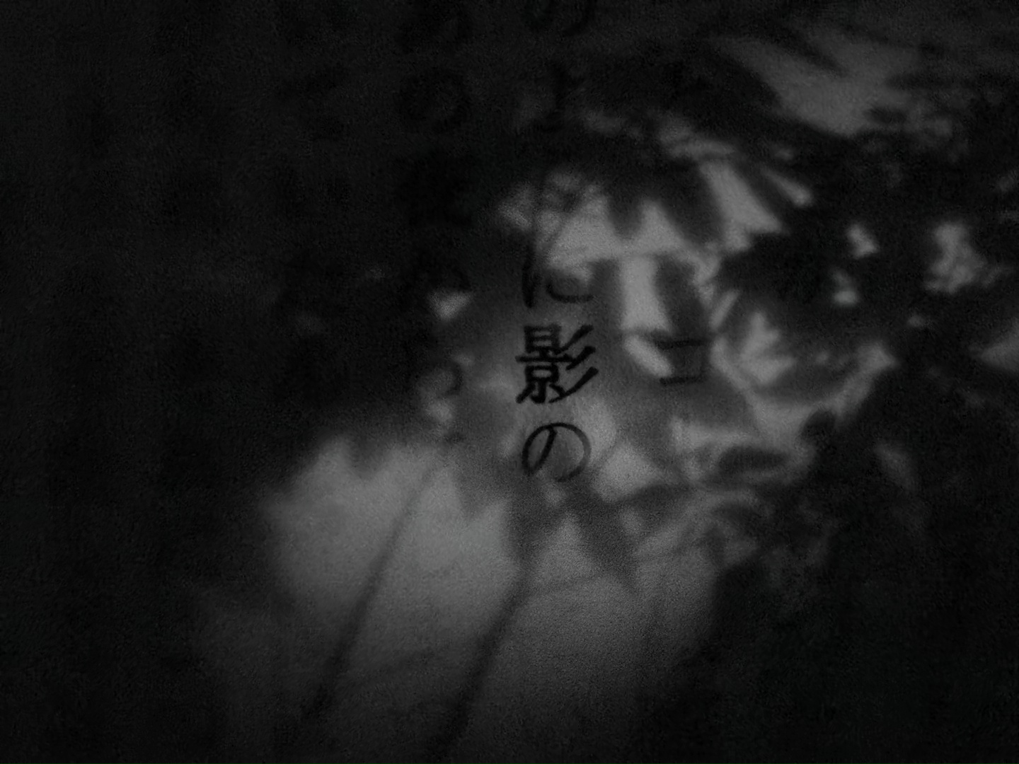 shadow